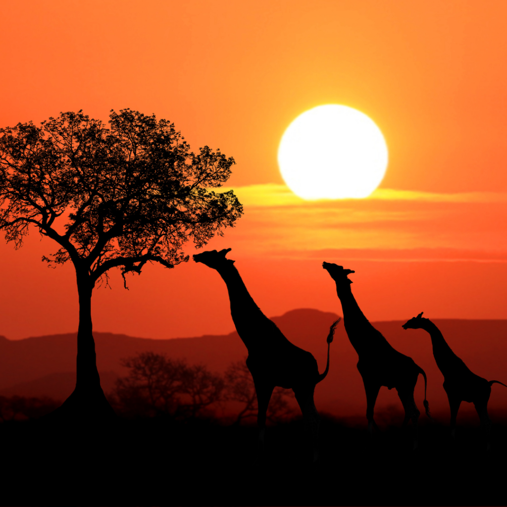kenya